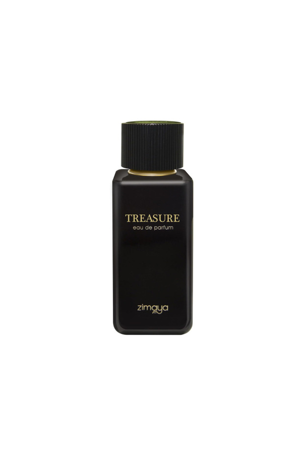 Treasure Eau De Parfum For Men, 100ML