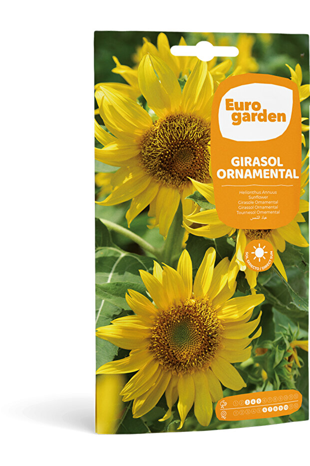 Ornamental Sunflower (Girasol Ornamental) Premium Quality Seeds Made in Spain