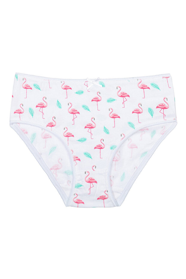 5 Pack Flamingo Knickers - Multicolor - 4