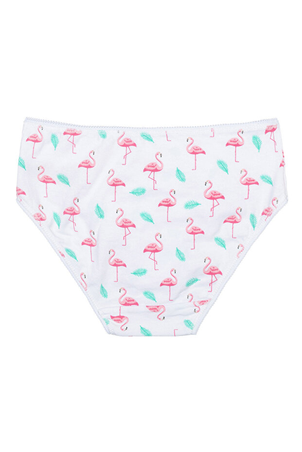 5 Pack Flamingo Knickers - Multicolor - 5
