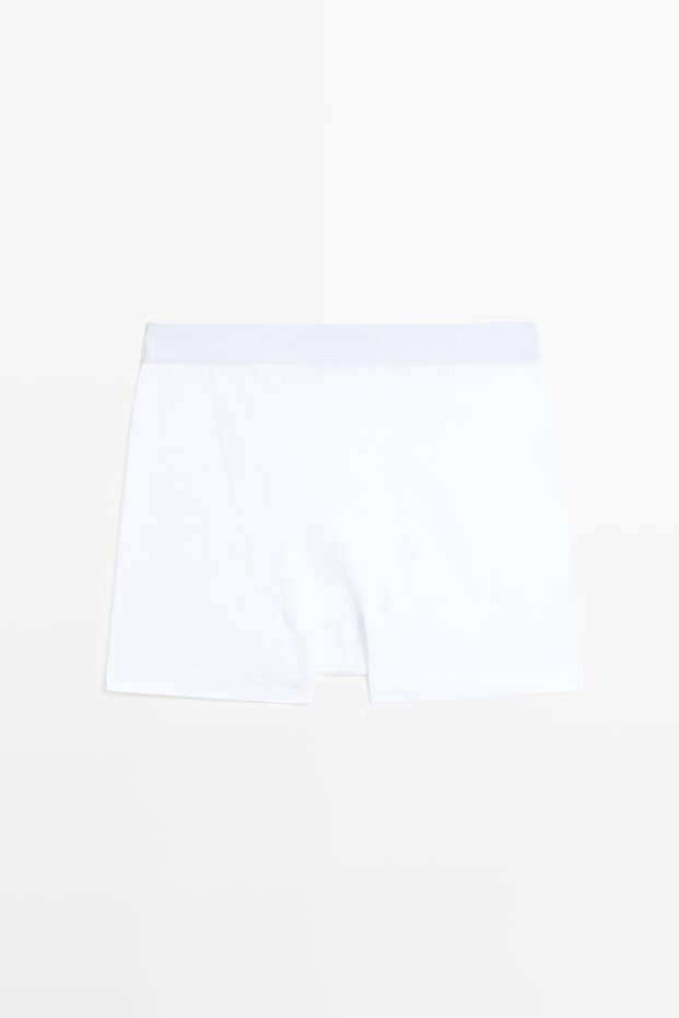 Logolu belli boxer - 4