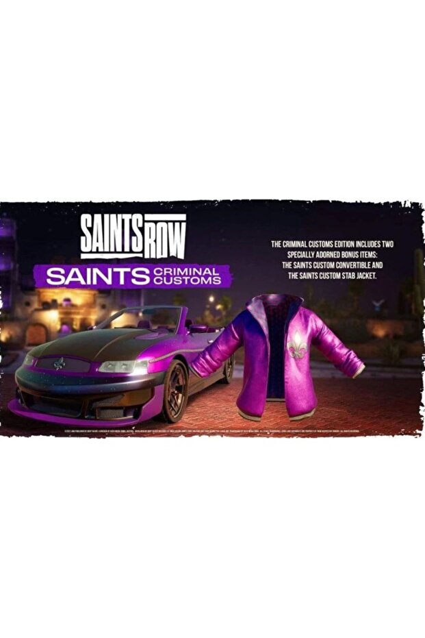 Saints Row Criminal Customs Edition -PC - 3