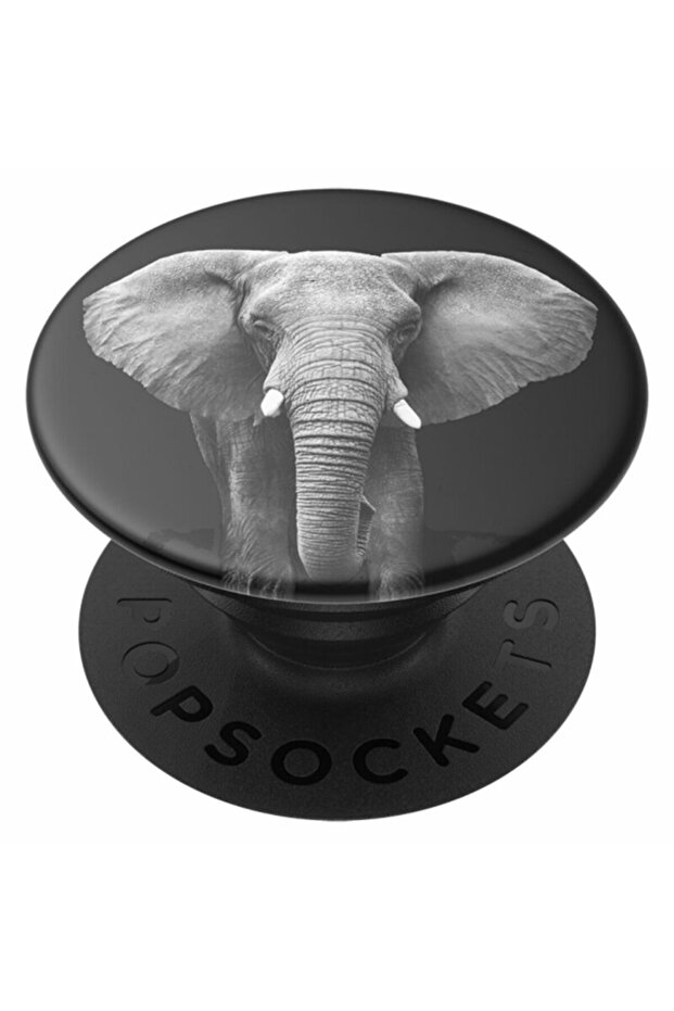 original, support with multiple functions, Loxodonta Africana - 1