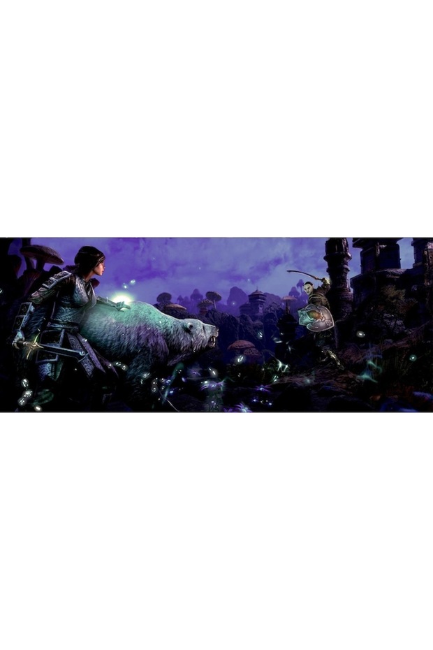 The Elder Scrolls Online: Morrowind /PS4 - 3