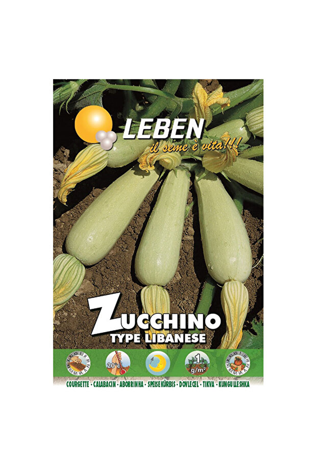 Zucchino (Zucchino type Libanese) Premium Quality Seeds Made in Italy