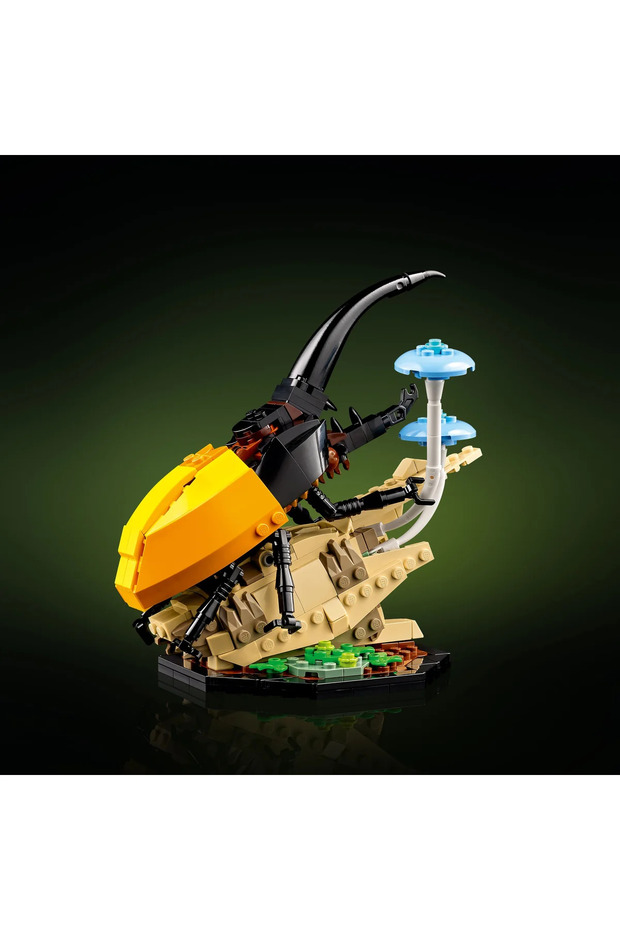 Ideas 21342 the Insect Collection - 7