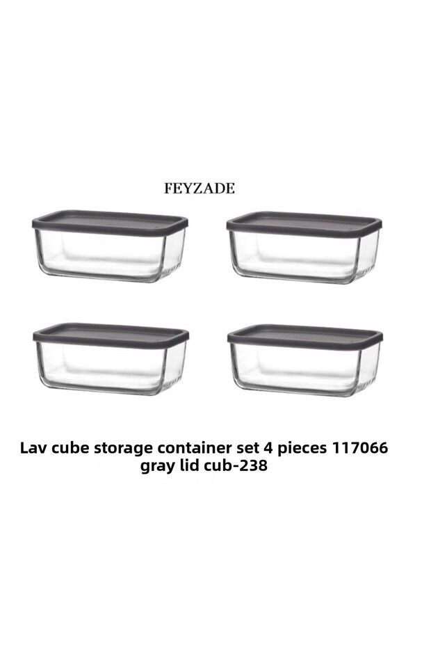 Feyzade Cube Storage Container Set 4Pcs 1170Cc (Cub-238)