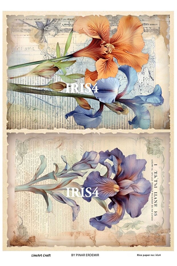 ديكوباج الأرز IRIS4 - 1