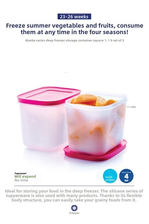 حاوية تخزين ديب فريزر من سلسلة ألاسكا - 1