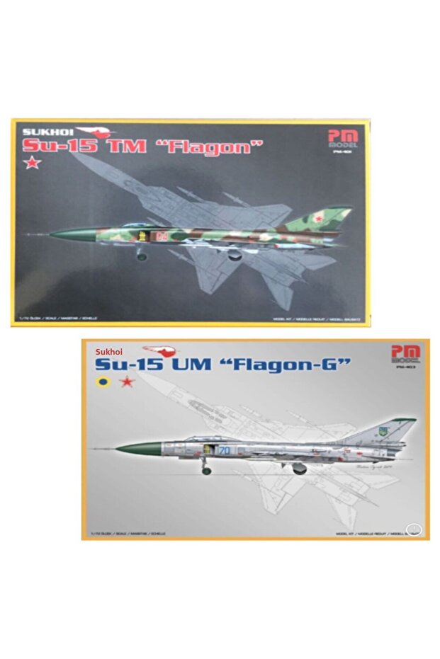 نموذج مجموعة سوخوي - 1