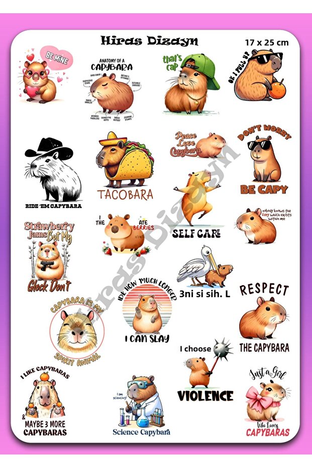 17X25Cm Large Size Capybara Slogans Label Sticker Page Decal Laptop Agenda Scrapbook