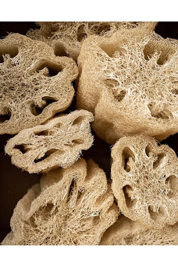 Kabak Lifi Sünger - 6