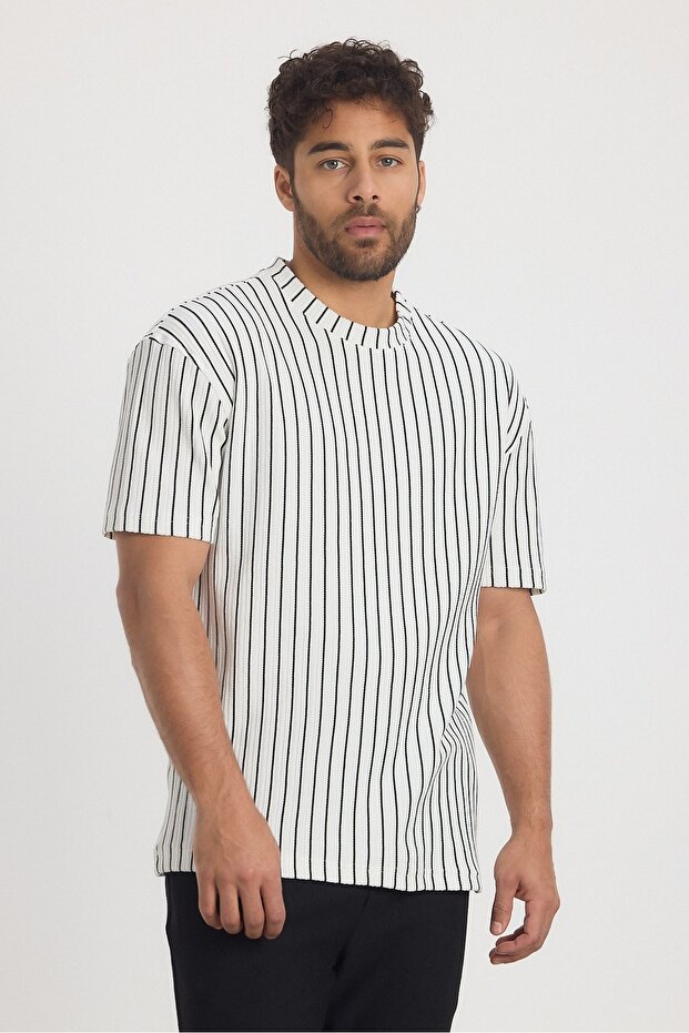 Çizgili Regular Erkek Tshirt - 4