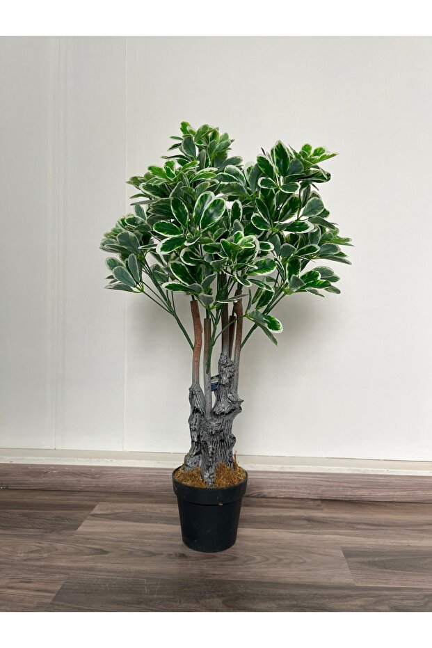 اشجار الشفليرا الصناعية-100cm - 3