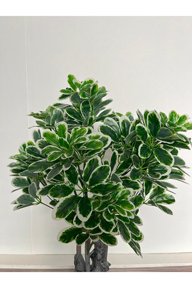 اشجار الشفليرا الصناعية-100cm - 2