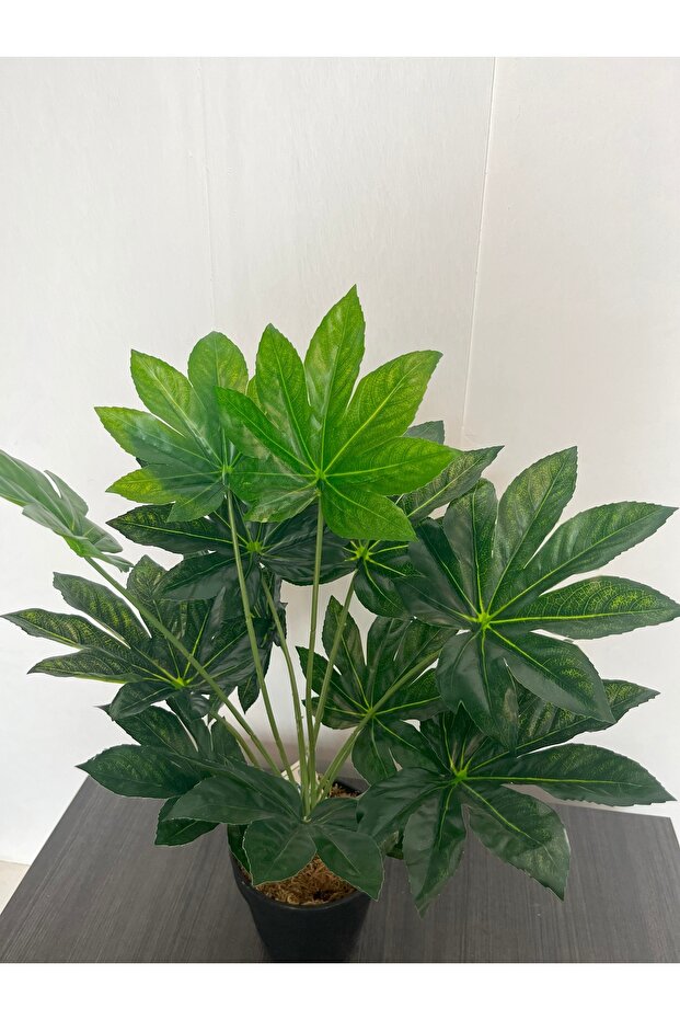 شجرة التارو ميني الصناعية 45 سم - 4