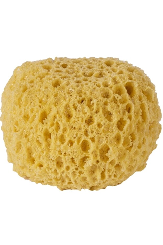 Bath Sponge, DecorCasa, 10x7 cm - 1