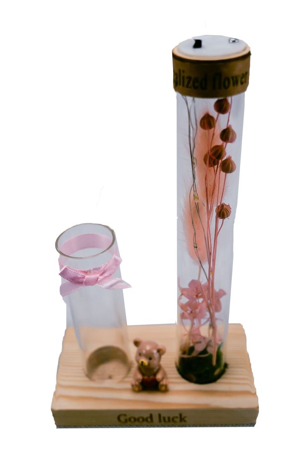 Medium Test Tube With Lights And Blank Vial Vase For Small Fresh And Dried Flowers Small Test Tube