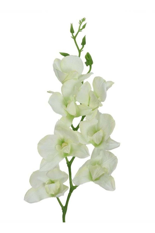 Sunlit Symphony: Artificial Dendrobium Flowers in White