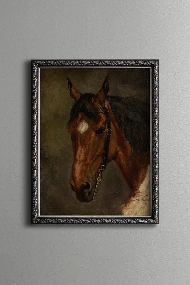 Horse Head - Vintage Patterned Frame
