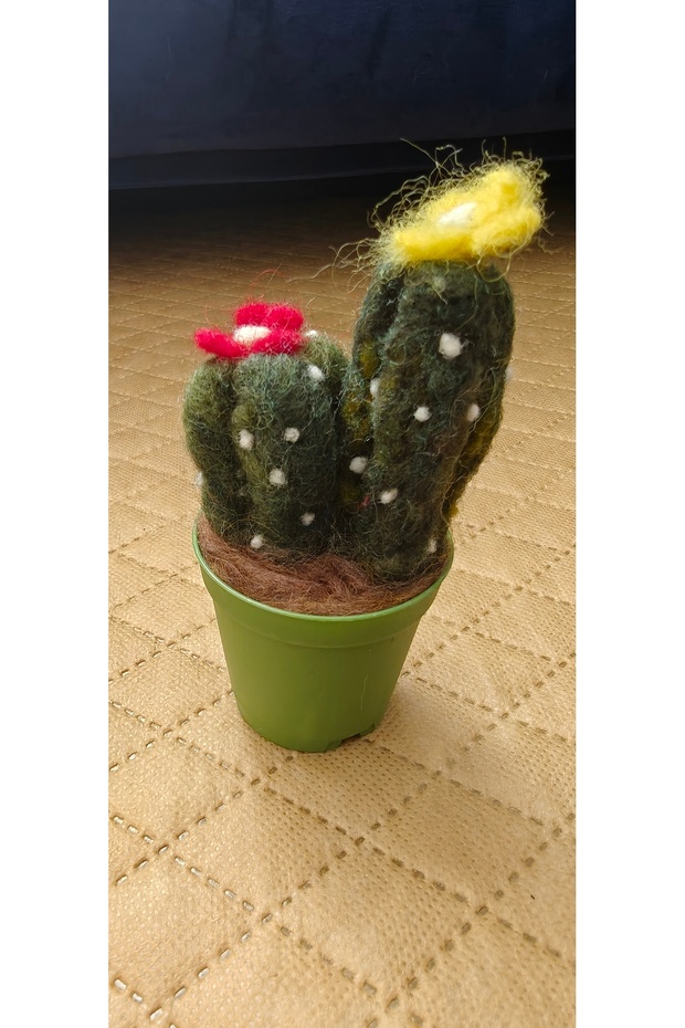 Kaktüs