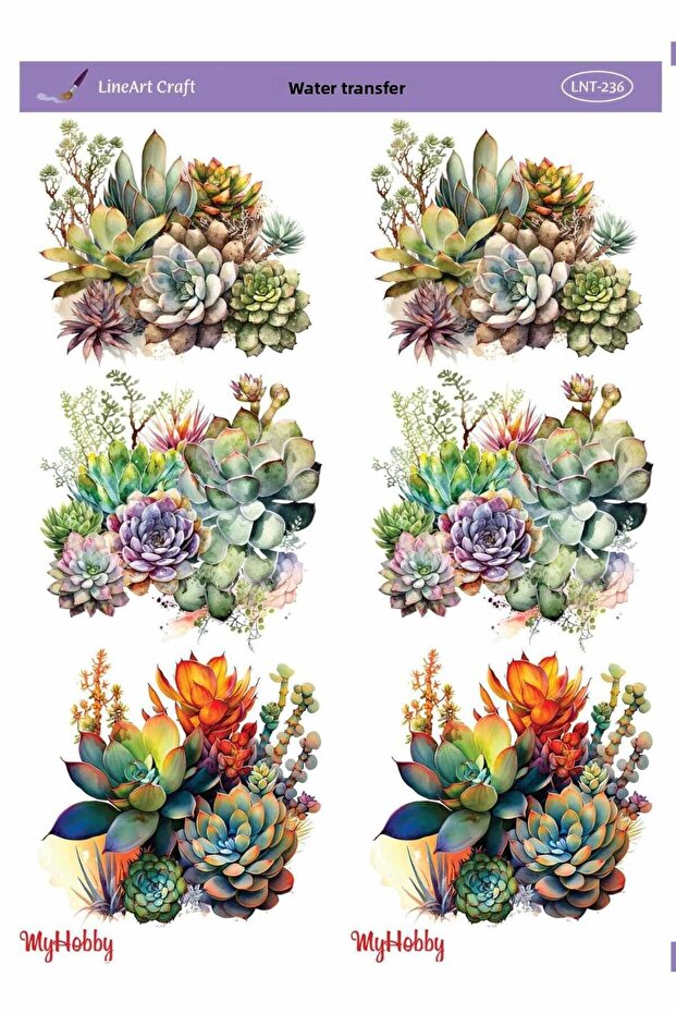 LNT-236 موديل 25x35 - نقل الصبار متعدد الأنماط - 1