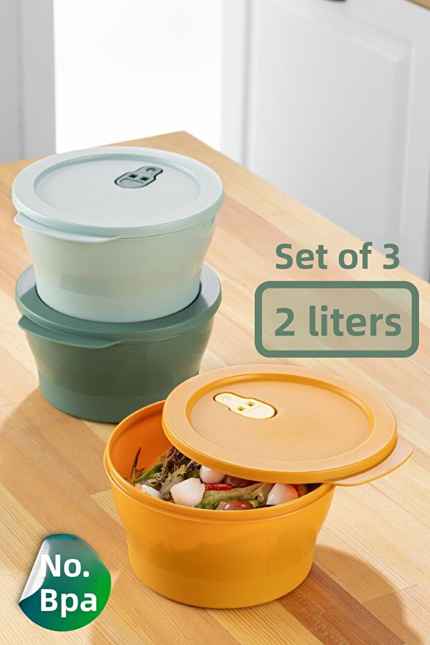 Set of 3 2 Liter Microwave Safe Storage Containers with Colorful Lids