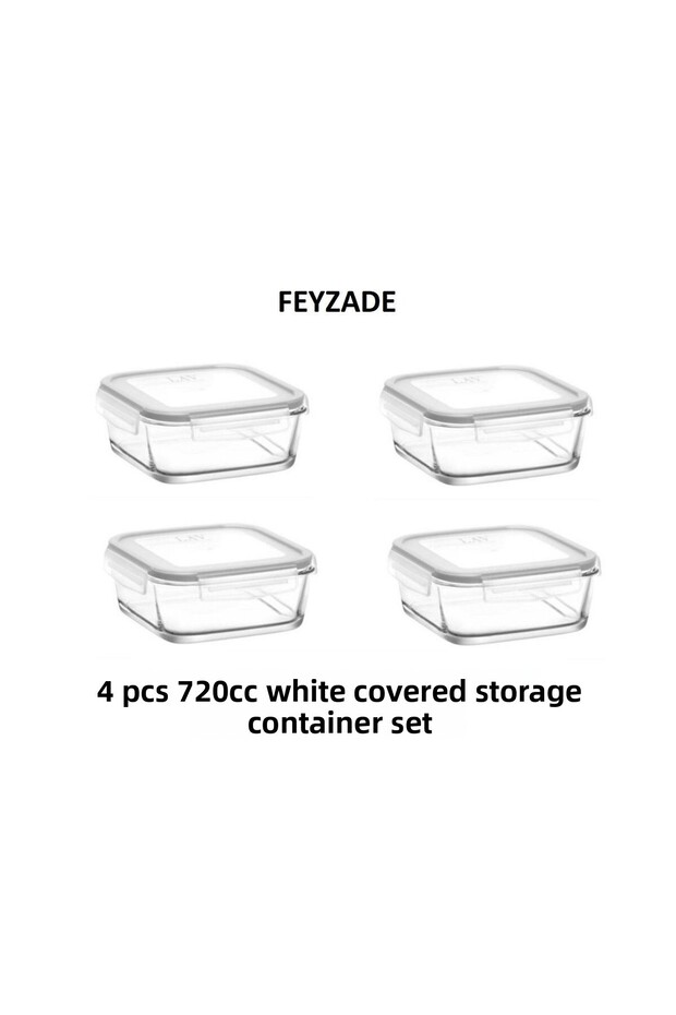Feyzade Fresco Storage Container Set 4 Pcs 720Cc (Frs-247)