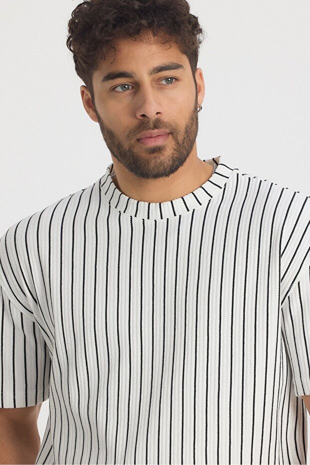Çizgili Regular Erkek Tshirt - 5