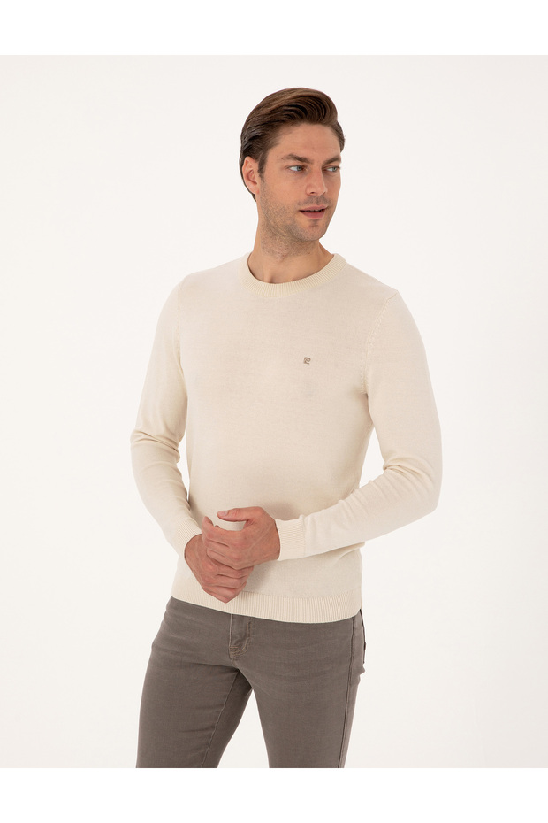 Beige Slim Fit Crew Neck Basic Knitwear Sweater 50314192-Vr011