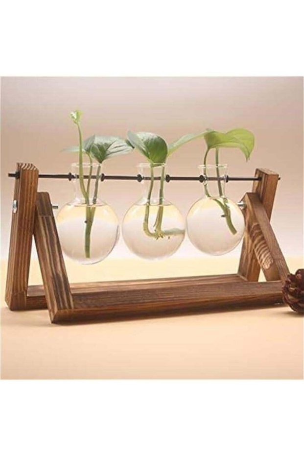 Plant Propagation Station, Plant Terrarium with Wooden Stand, Unique Gardening Birthday Gifts for W