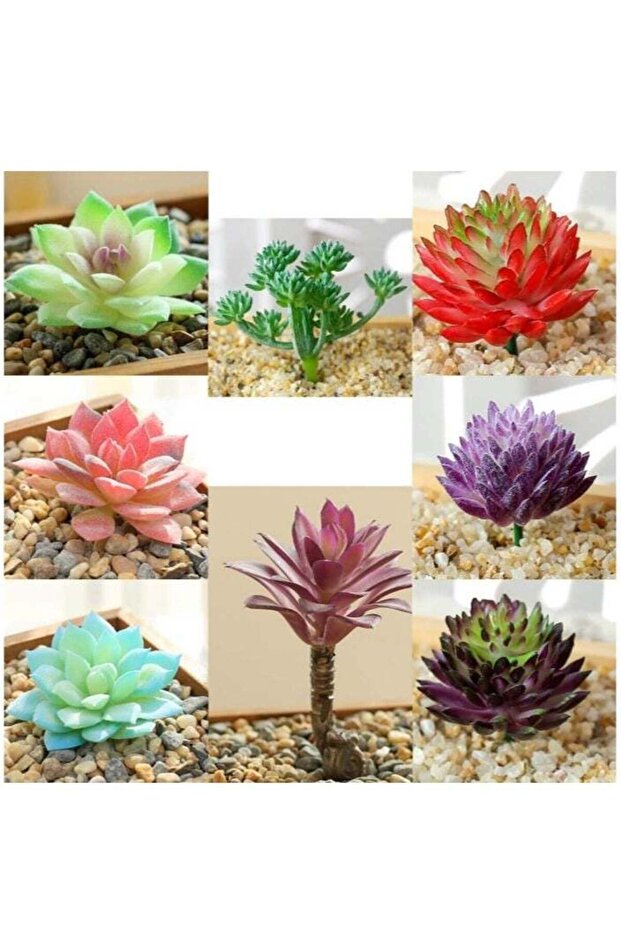 8 Packs Mini Artificial Succulent Plants Small Without Pot Artificial Plants For Home Decor Indoor