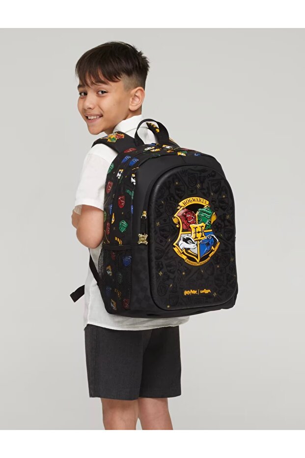 حقيبة ظهر هاري بوتر - 2