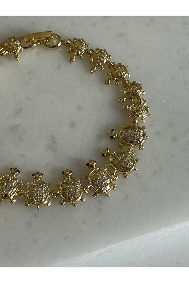 سوار السلاحف المتسلسلة من سي إم - 3