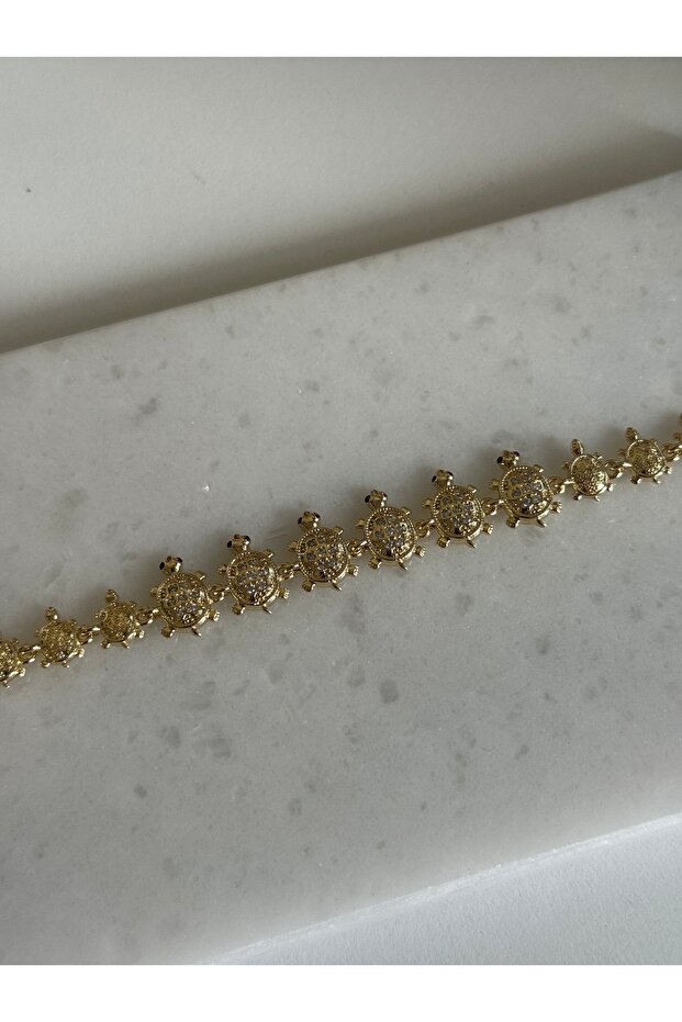 سوار السلاحف المتسلسلة من سي إم - 2