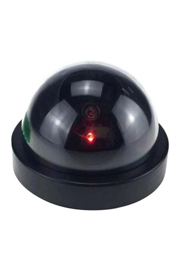 Dummy Surveillance Camera - 1