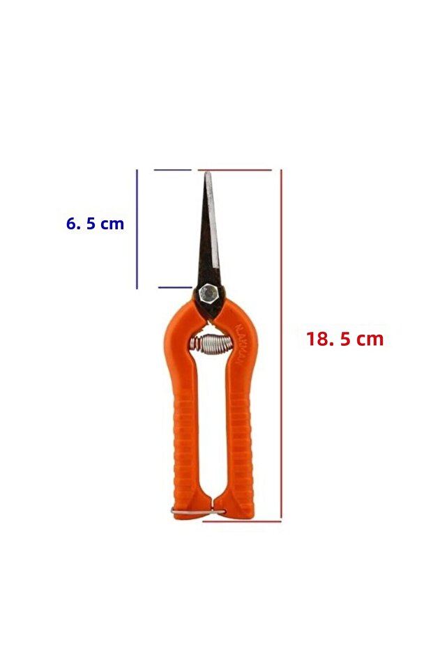 Vineyard Scissors Grape Scissors - Pointed Scissors 1 piece - 3