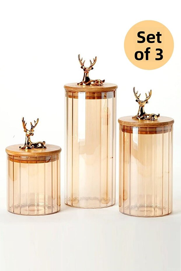 Glass Jar Silicone Bamboo Lid Color Jar Set of 3
