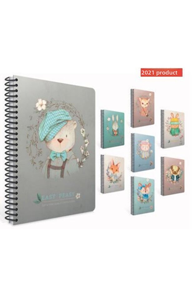 غطاء صلب للكمبيوتر الدفتري 17x24 Easy Notes 120ypمخطط 4743/ جيبتا