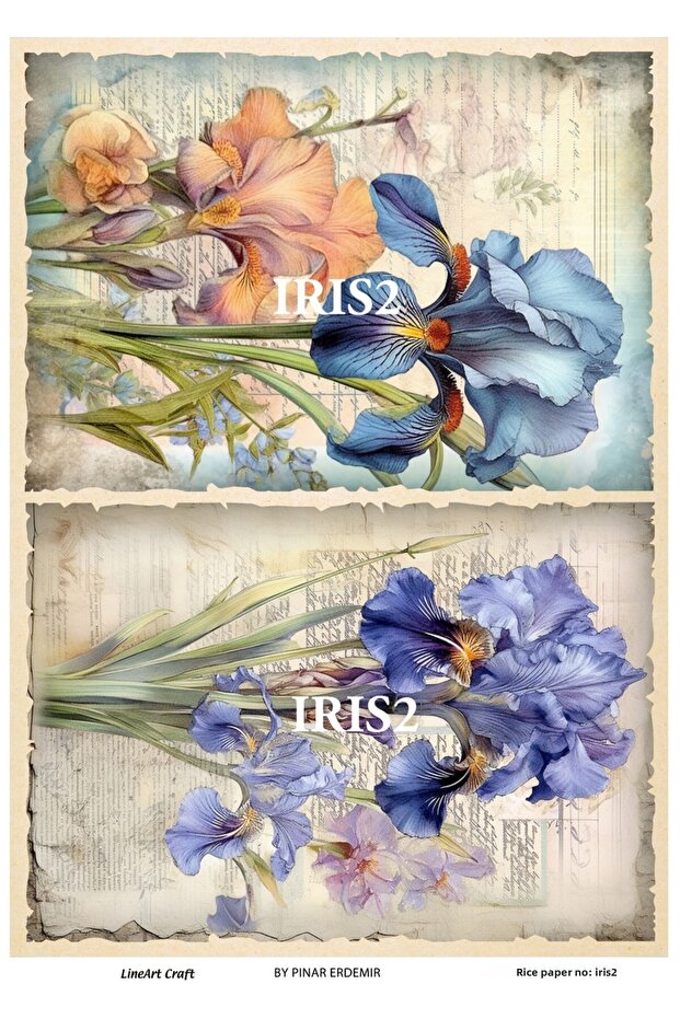 IRIS2- ورق تزيين نحاسي مقاس 29 × 42 سم