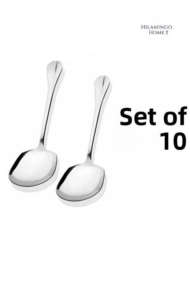 10 Pieces Stainless Steel Serving, Salad, Cake Spoon (21cm)