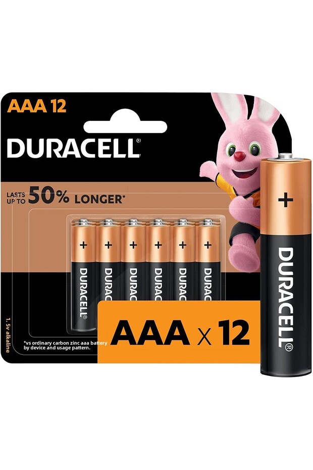 Type AAA Alkaline Batteries, pack of 12