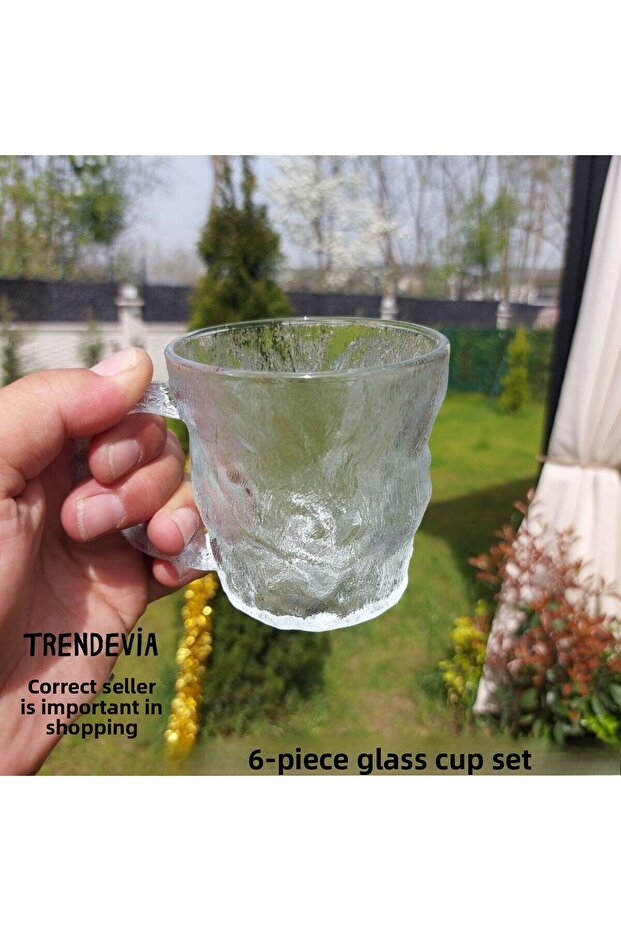 Ice Looking Glass Cup Set for 6 People