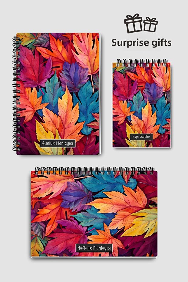Planning Set of 3, Daily Planner, Weekly Planner, To-Do List, Academic Agenda