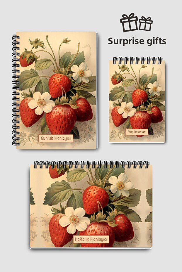 Planning Set of 3, Daily Planner, Weekly Planner, To-Do List, Academic Agenda