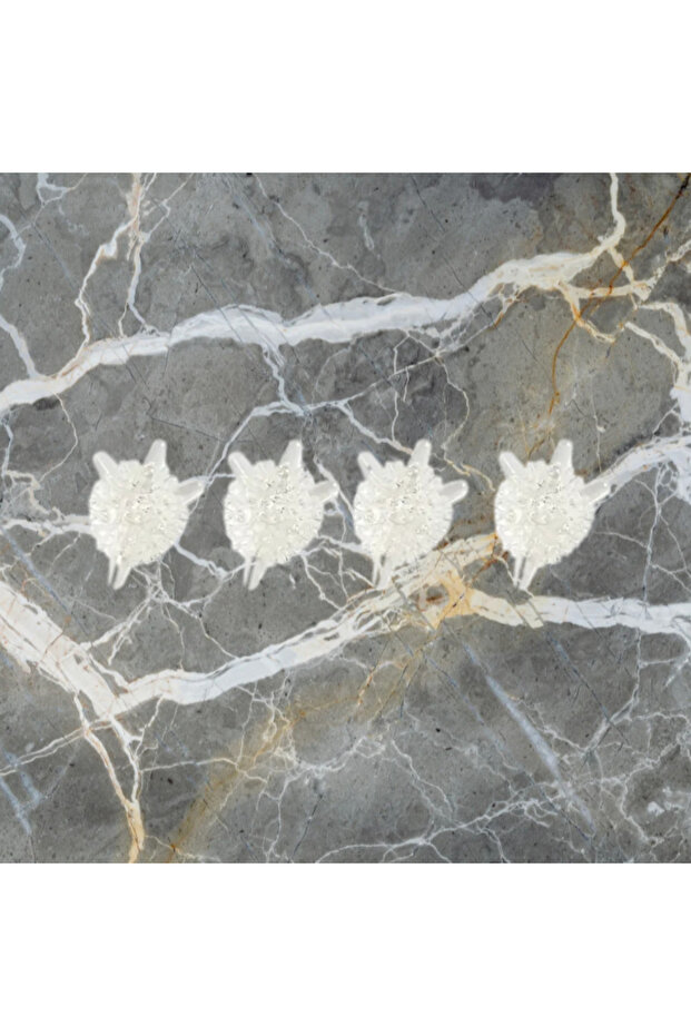 Çamaşır Ajitatörleri - 1