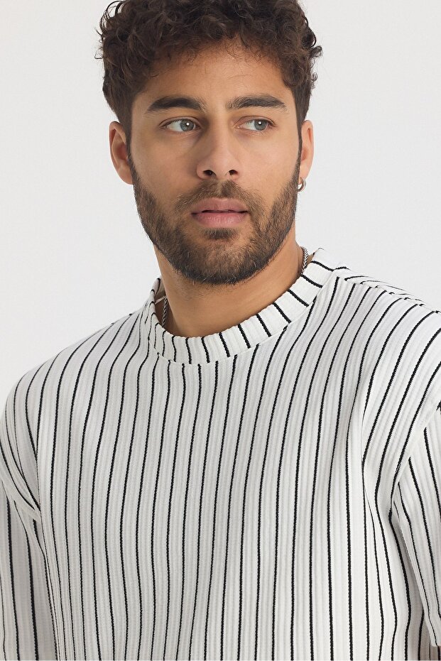 Çizgili Regular Erkek Tshirt - 6