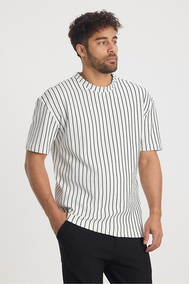 Çizgili Regular Erkek Tshirt - 1