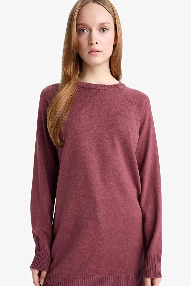 Regular Fit Bisiklet Yaka Basic Düz Uzun Kollu Tunik C4474AX25WN - 1