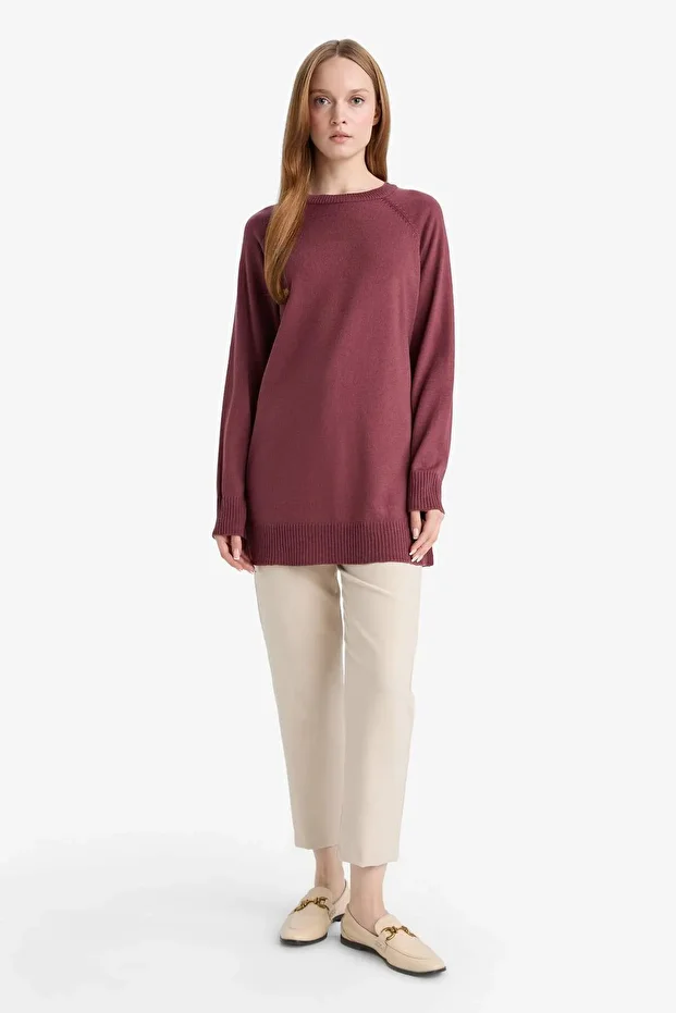 Regular Fit Bisiklet Yaka Basic Düz Uzun Kollu Tunik C4474AX25WN - 2